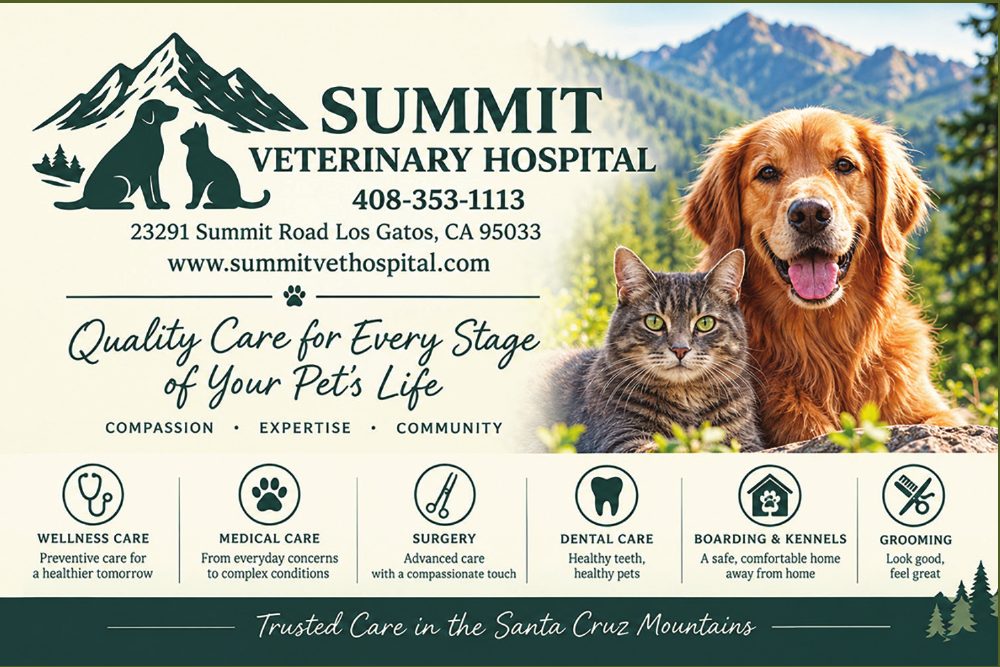 Summit Veterinary Hospital, 23291 Summit Road, Los Gatos. Quality care for every stage of your pet’s life: compassion, expertise, community. Wellness care, medical care, surgery, dental care, boarding and kennels, grooming. Trusted care in the Santa Cruz Mountains. A golden retriever and a tabby cat.