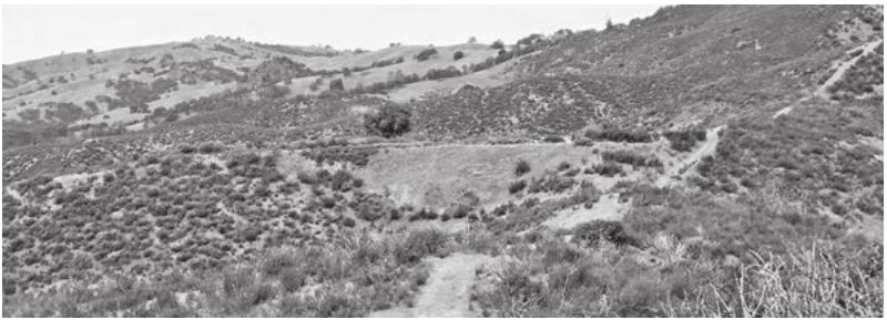 Rolling chaparral hills on 240 acres off San Antonio Valley Road