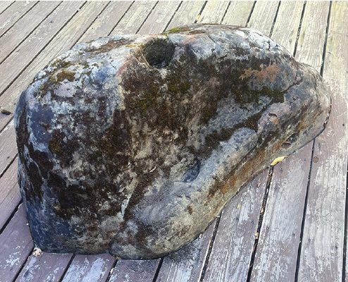 A rock with indentations the Ohlone people used for grinding acorns