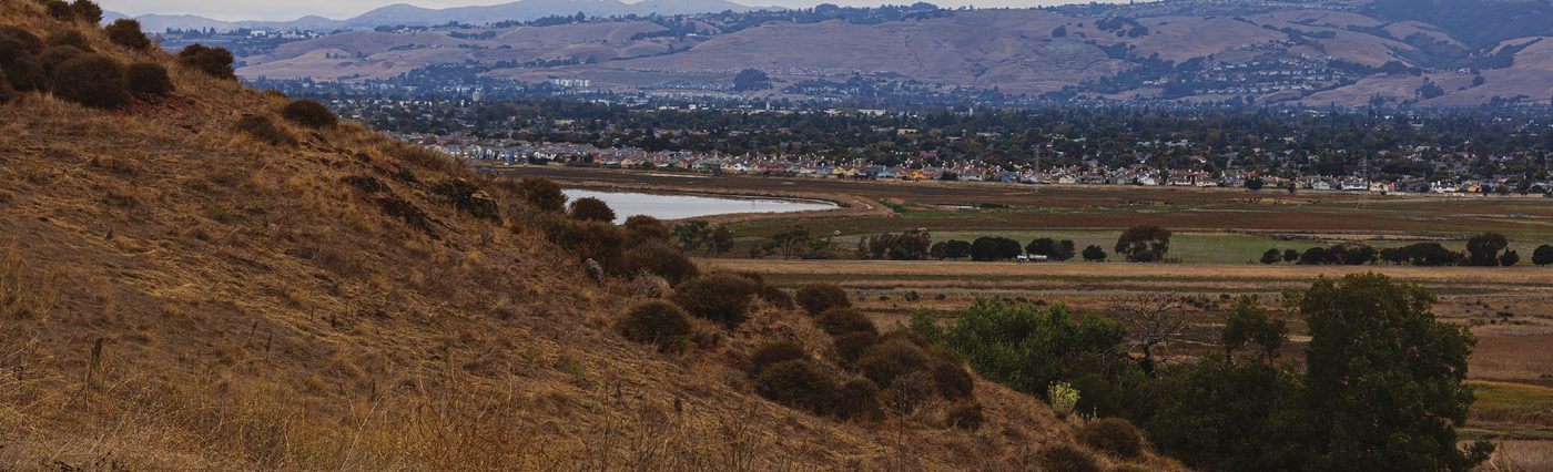 Coyote Hills