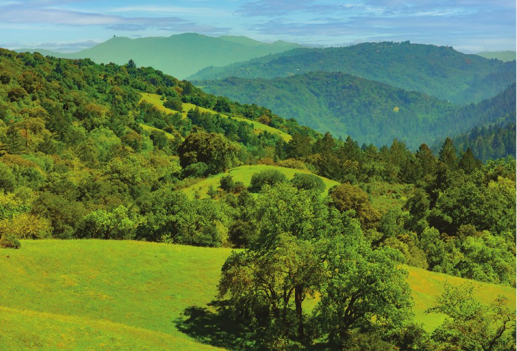 A Special Distinction for the Santa Cruz Mountains