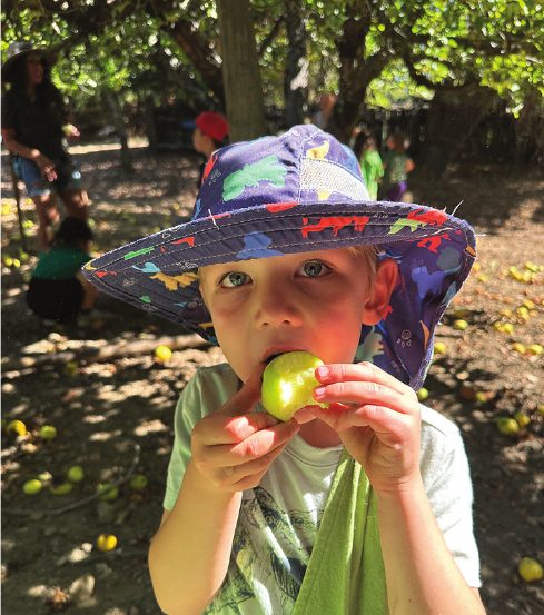 A young student tasting a freshly picked apple
