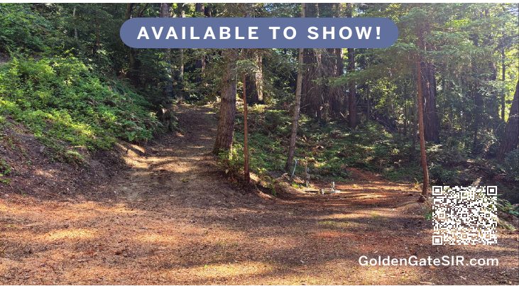 Wooded trail on the 15645 Stetson Road acreage. Available to show.