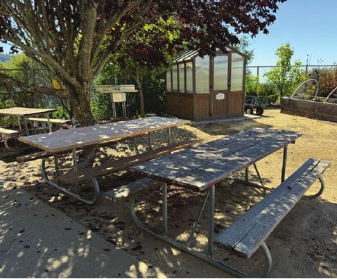 New picnic tables in the school garden