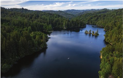Loch Lomond reservoir surrounded by forest
