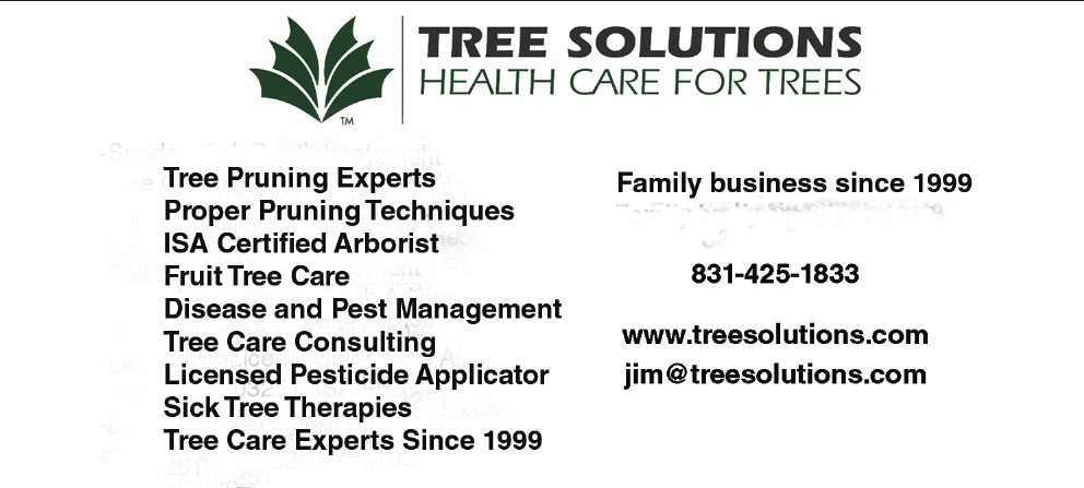 Tree Solutions, health care for trees. Tree pruning experts, proper pruning techniques, ISA certified arborist, fruit tree care, disease and pest management, tree care consulting, licensed pesticide applicator, sick tree therapies. Tree care experts since 1999. Family business since 1999.