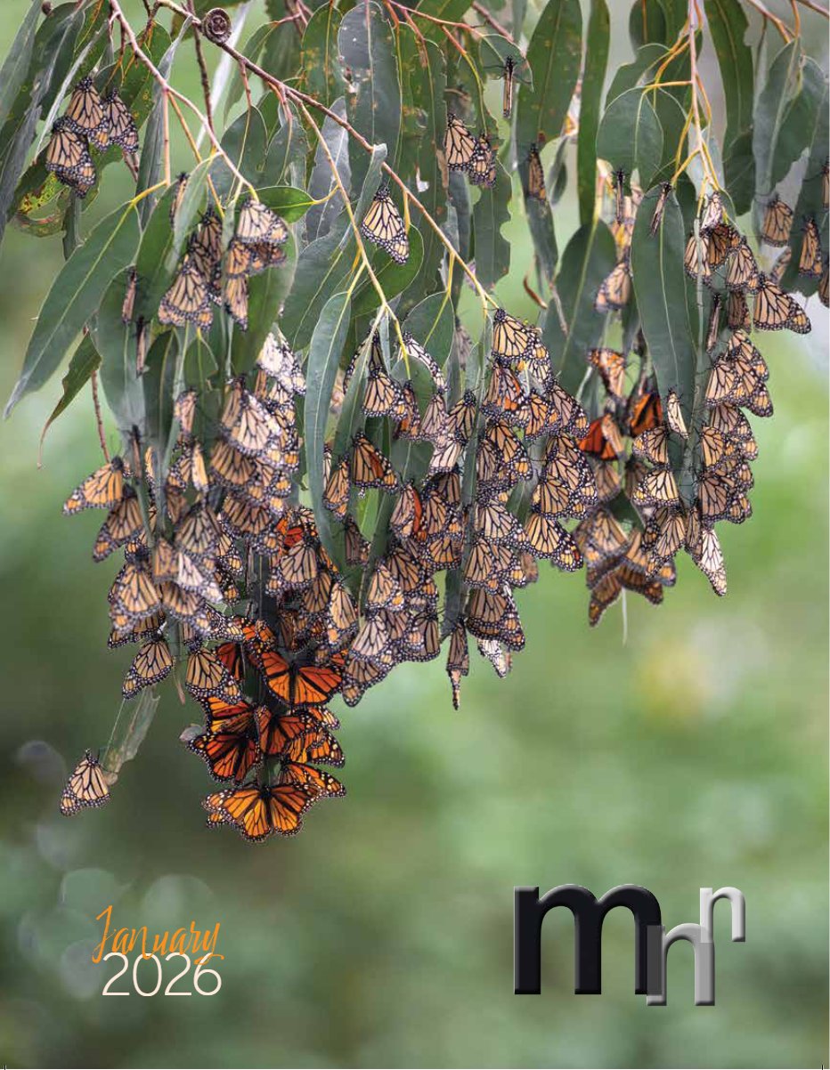 Cover of January 2026 · Volume MMXXVI, Number 1