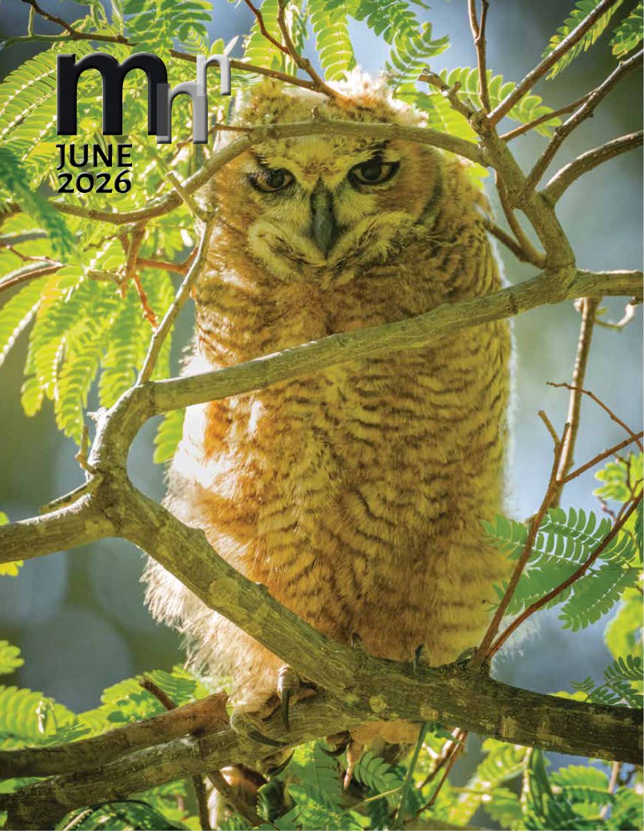 Cover of June 2026 · Volume MMXXVI, Number 6