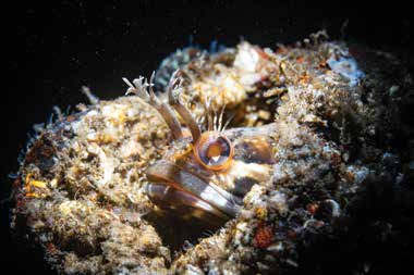 Trash in Monterey Bay