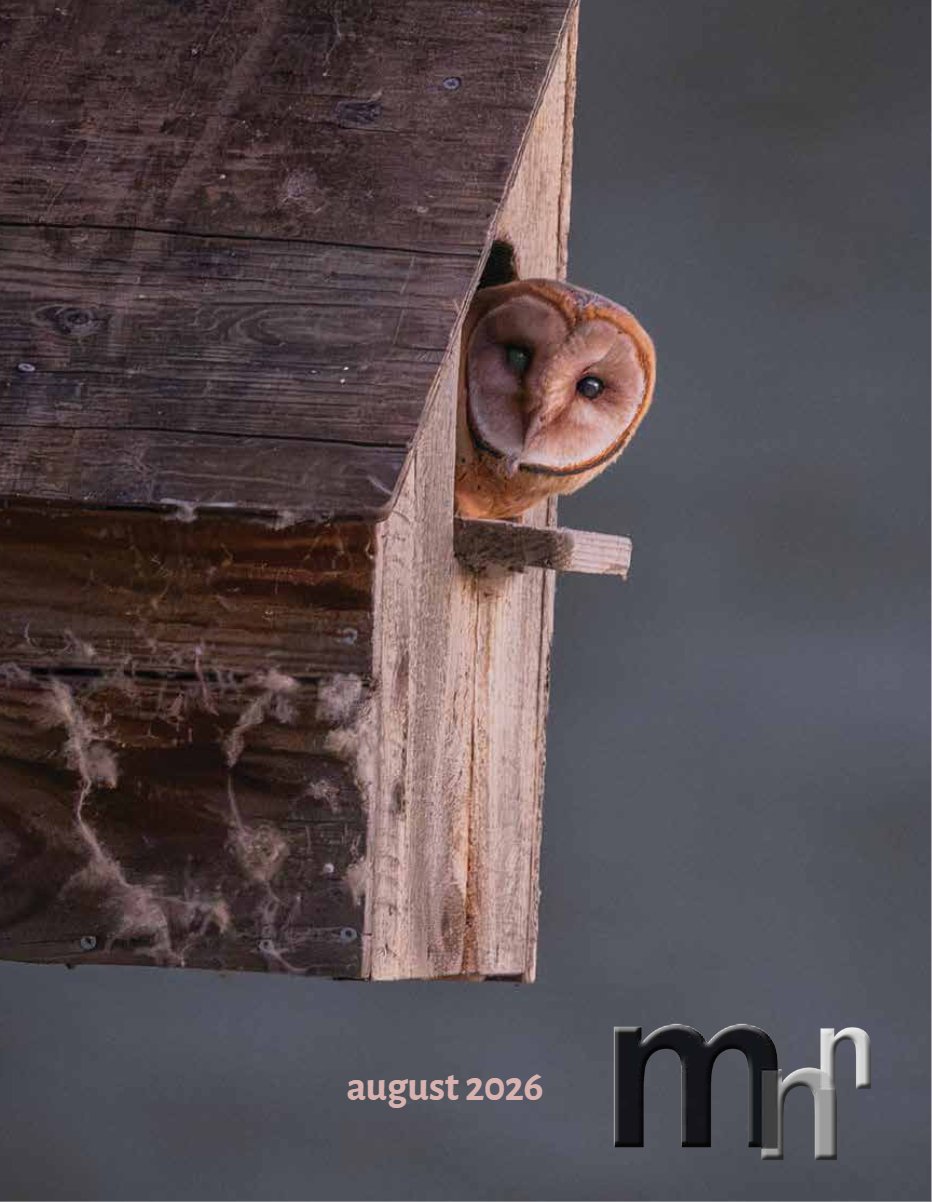 Cover of August 2026 · Volume MMXXVI, Number 8