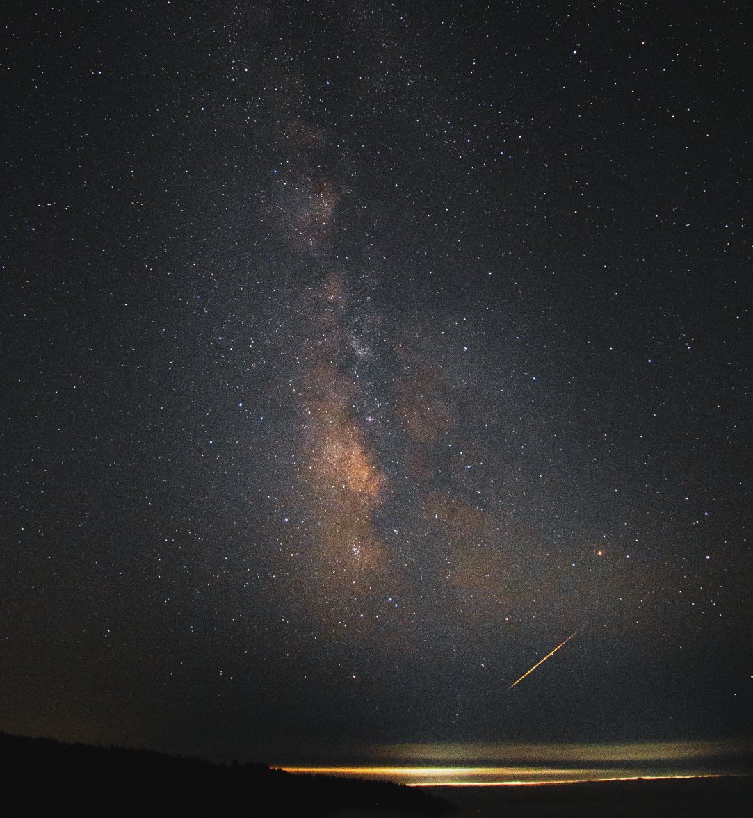 Perseid Meteor Shower