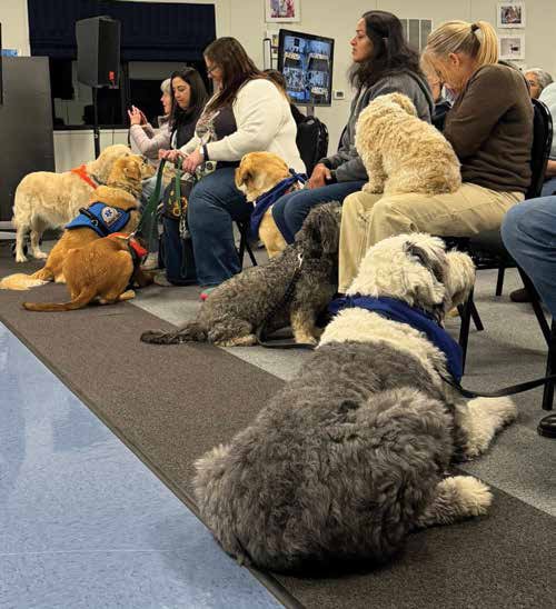 Summit Veterinary Hospital