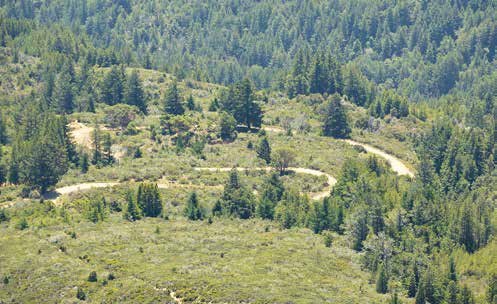 Mount Tamalpais State Park