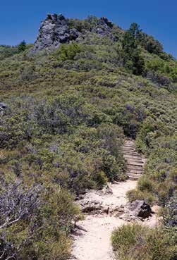 Mount Tamalpais State Park
