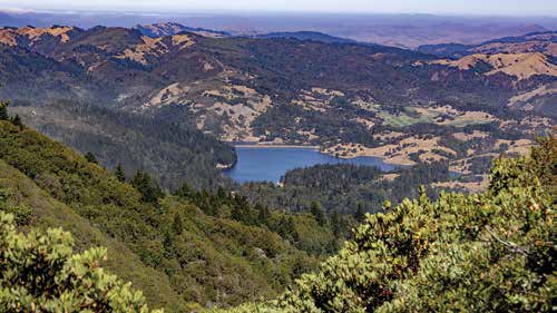 Mount Tamalpais State Park