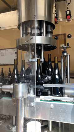 Lago Lomita Vineyards