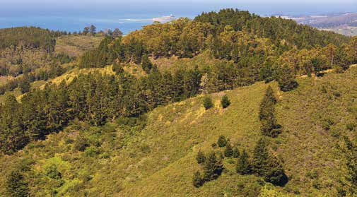 More than open space